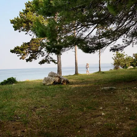 Szálloda Arba Resort, Valamar Collection Rab Town