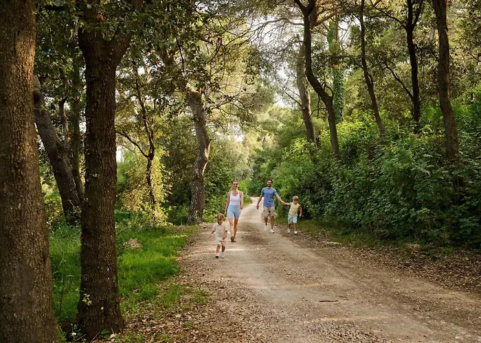 Hotel Arba Resort, Valamar Collection 4*